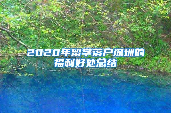 2020年留學落戶深圳的福利好處總結