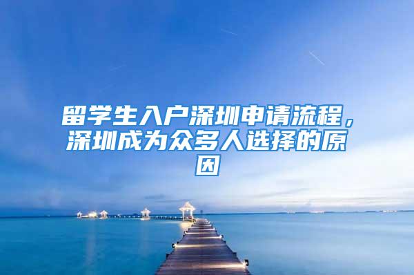 留學(xué)生入戶深圳申請(qǐng)流程，深圳成為眾多人選擇的原因