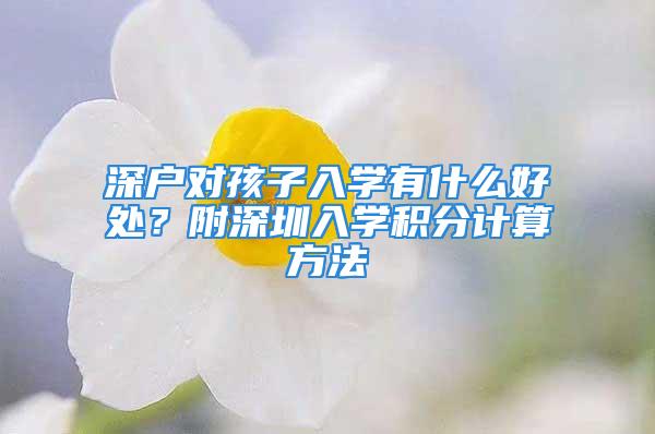 深戶對(duì)孩子入學(xué)有什么好處？附深圳入學(xué)積分計(jì)算方法