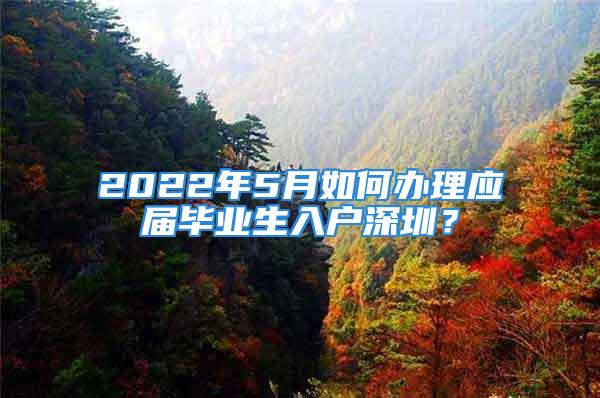 2022年5月如何辦理應(yīng)屆畢業(yè)生入戶深圳？