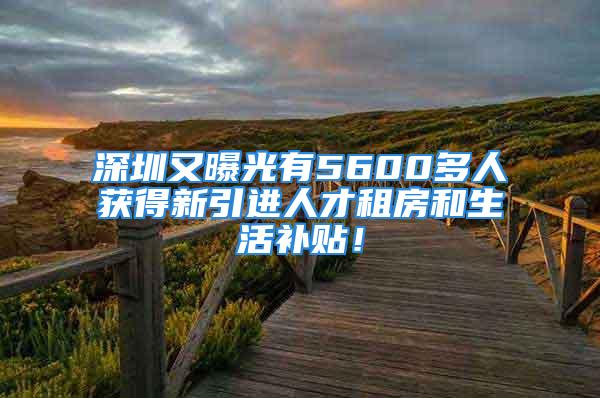 深圳又曝光有5600多人獲得新引進(jìn)人才租房和生活補(bǔ)貼！