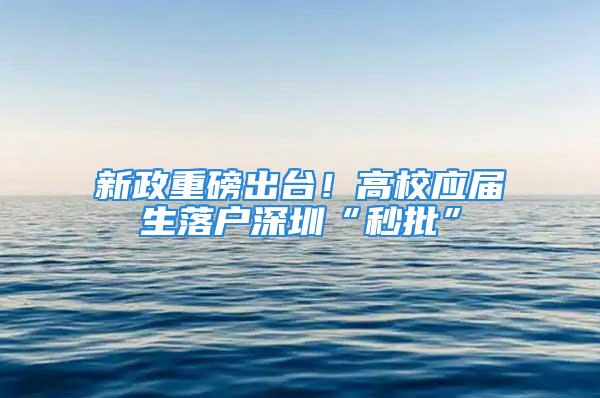 新政重磅出臺！高校應(yīng)屆生落戶深圳“秒批”