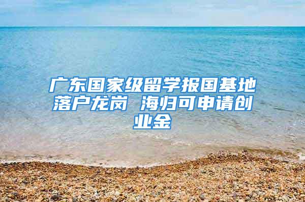 廣東國家級(jí)留學(xué)報(bào)國基地落戶龍崗 海歸可申請(qǐng)創(chuàng)業(yè)金