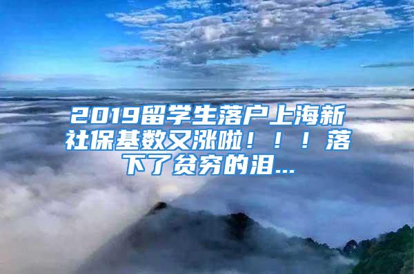 2019留學(xué)生落戶上海新社?；鶖?shù)又漲啦！?。÷湎铝素毟F的淚...