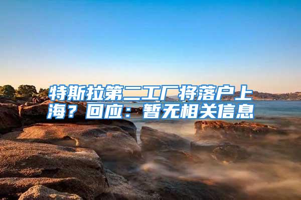 特斯拉第二工廠將落戶上海？回應(yīng)：暫無(wú)相關(guān)信息