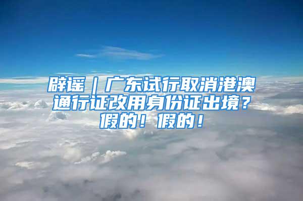 辟謠｜廣東試行取消港澳通行證改用身份證出境？假的！假的！