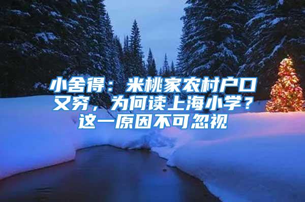 小舍得：米桃家農(nóng)村戶口又窮，為何讀上海小學(xué)？這一原因不可忽視