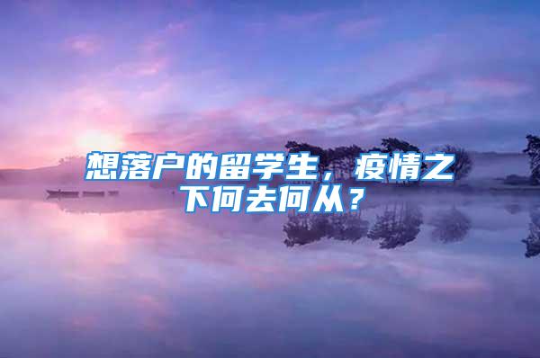 想落戶的留學(xué)生，疫情之下何去何從？