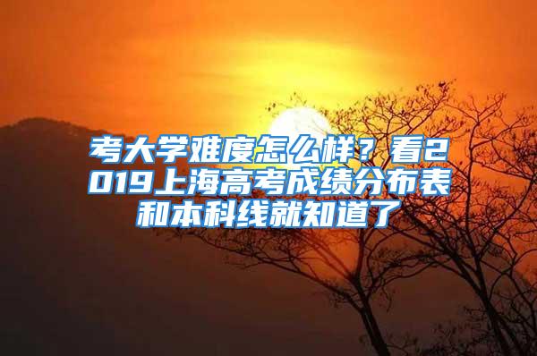 考大學(xué)難度怎么樣？看2019上海高考成績(jī)分布表和本科線就知道了