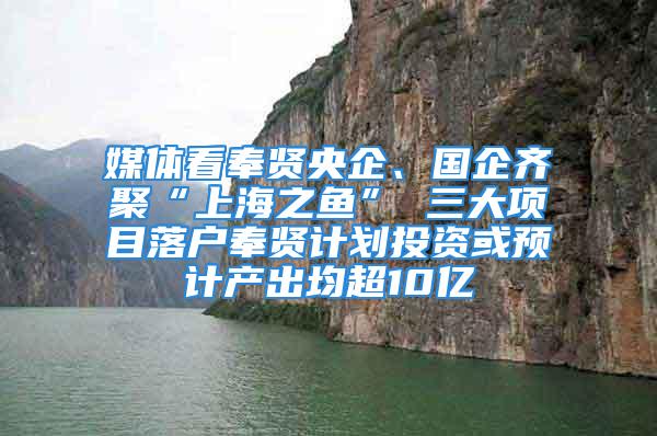 媒體看奉賢央企、國企齊聚“上海之魚” 三大項目落戶奉賢計劃投資或預(yù)計產(chǎn)出均超10億