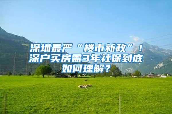 深圳最嚴(yán)“樓市新政”！深戶買(mǎi)房需3年社保到底如何理解？