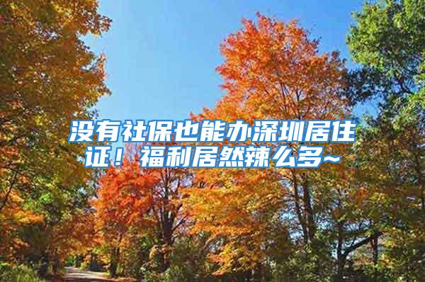 沒有社保也能辦深圳居住證！福利居然辣么多~