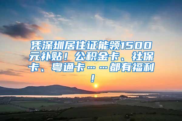 憑深圳居住證能領(lǐng)1500元補(bǔ)貼！公積金卡、社?？?、粵通卡……都有福利！