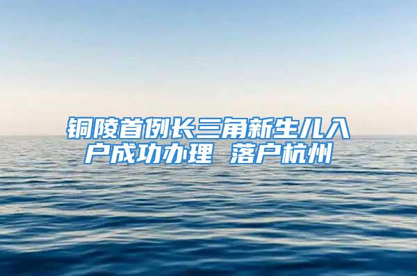 銅陵首例長三角新生兒入戶成功辦理 落戶杭州