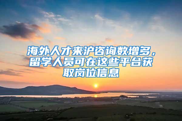 海外人才來滬咨詢數(shù)增多，留學(xué)人員可在這些平臺(tái)獲取崗位信息