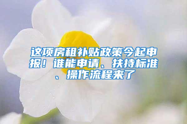 這項(xiàng)房租補(bǔ)貼政策今起申報(bào)！誰能申請(qǐng)、扶持標(biāo)準(zhǔn)、操作流程來了