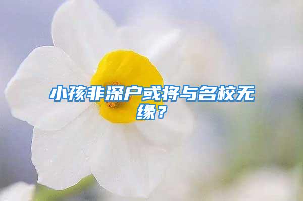 小孩非深戶或?qū)⑴c名校無(wú)緣？