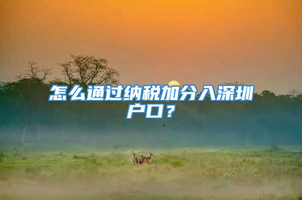 怎么通過納稅加分入深圳戶口？