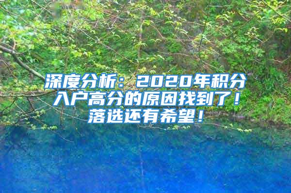 深度分析：2020年積分入戶高分的原因找到了！落選還有希望！