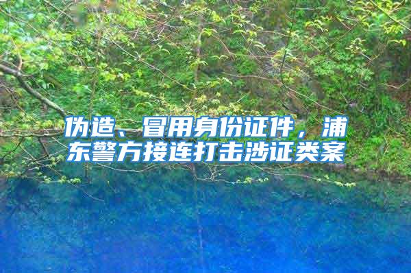 偽造、冒用身份證件，浦東警方接連打擊涉證類(lèi)案