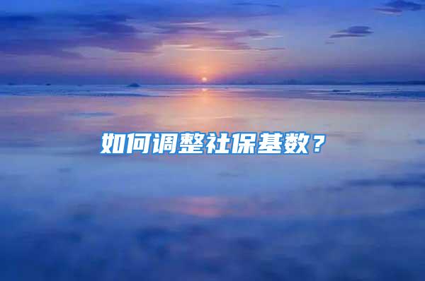 如何調(diào)整社?；鶖?shù)？