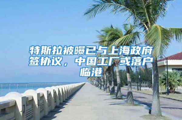 特斯拉被曝已與上海政府簽協(xié)議，中國工廠或落戶臨港