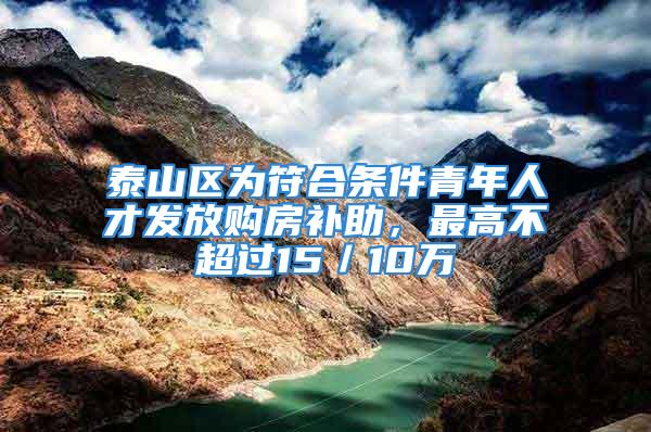 泰山區(qū)為符合條件青年人才發(fā)放購房補助，最高不超過15／10萬