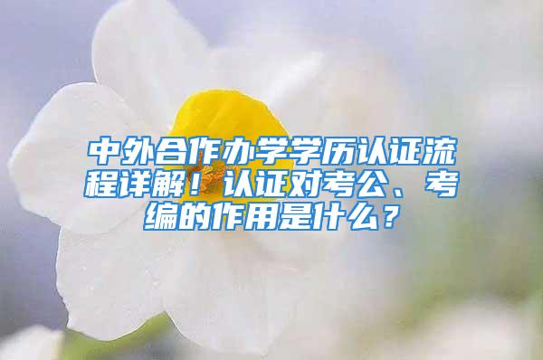 中外合作辦學(xué)學(xué)歷認(rèn)證流程詳解！認(rèn)證對考公、考編的作用是什么？