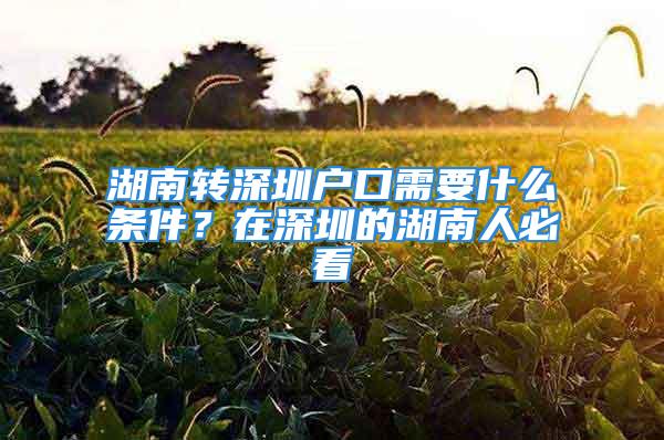 湖南轉(zhuǎn)深圳戶口需要什么條件？在深圳的湖南人必看