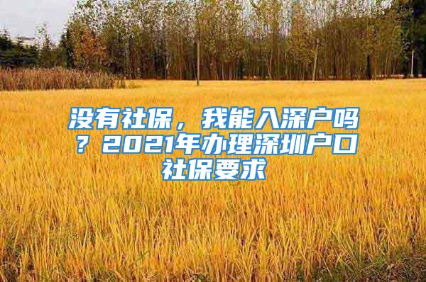 沒有社保，我能入深戶嗎？2021年辦理深圳戶口社保要求