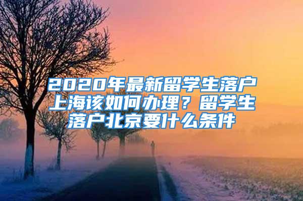 2020年最新留學(xué)生落戶上海該如何辦理？留學(xué)生落戶北京要什么條件