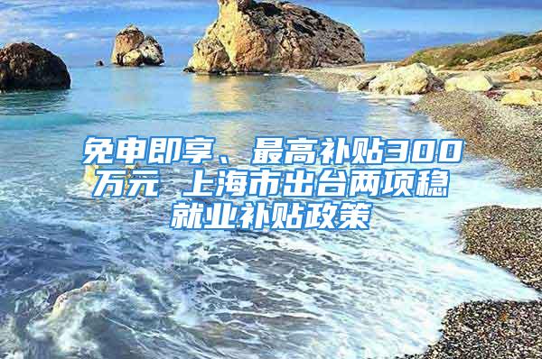 免申即享、最高補貼300萬元 上海市出臺兩項穩(wěn)就業(yè)補貼政策