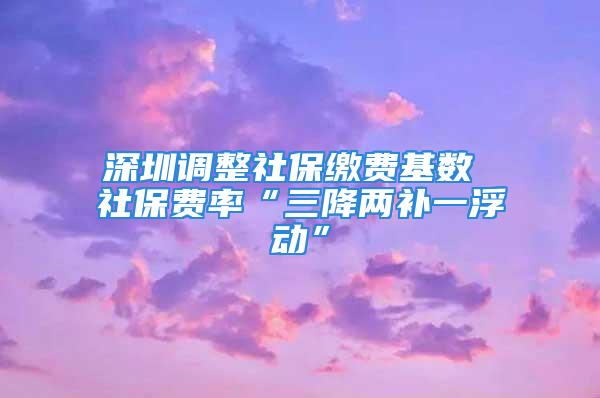 深圳調(diào)整社保繳費(fèi)基數(shù) 社保費(fèi)率“三降兩補(bǔ)一浮動(dòng)”