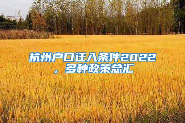 杭州戶口遷入條件2022，多種政策總匯