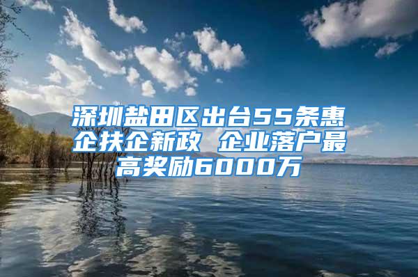 深圳鹽田區(qū)出臺55條惠企扶企新政 企業(yè)落戶最高獎勵6000萬