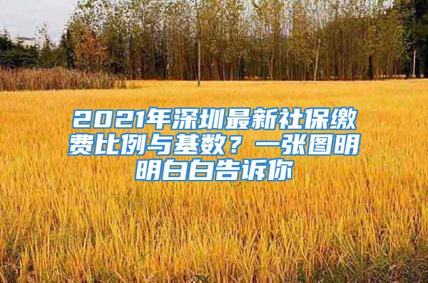 2021年深圳最新社保繳費比例與基數(shù)？一張圖明明白白告訴你