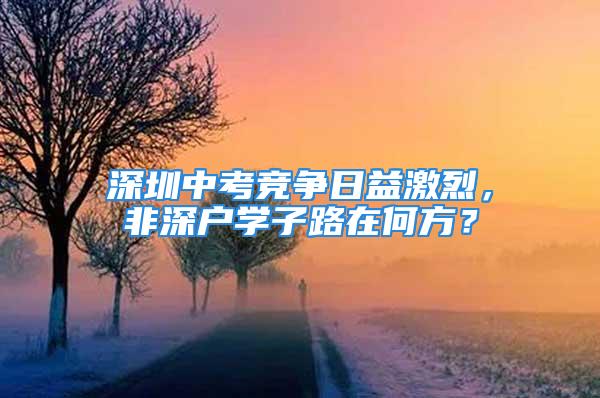 深圳中考競爭日益激烈，非深戶學子路在何方？