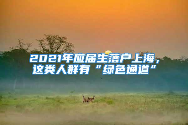 2021年應(yīng)屆生落戶上海，這類人群有“綠色通道”