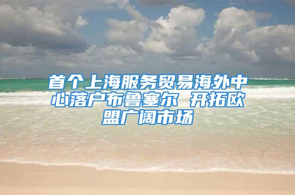 首個上海服務(wù)貿(mào)易海外中心落戶布魯塞爾 開拓歐盟廣闊市場