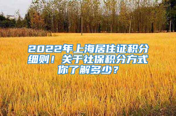 2022年上海居住證積分細(xì)則！關(guān)于社保積分方式你了解多少？