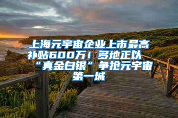 上海元宇宙企業(yè)上市最高補(bǔ)貼600萬！多地正以“真金白銀”爭搶元宇宙第一城