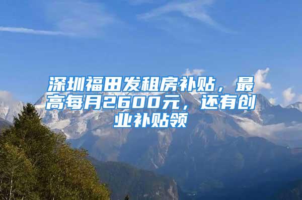 深圳福田發(fā)租房補貼，最高每月2600元，還有創(chuàng)業(yè)補貼領(lǐng)