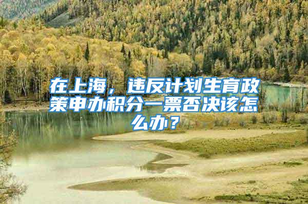 在上海，違反計(jì)劃生育政策申辦積分一票否決該怎么辦？