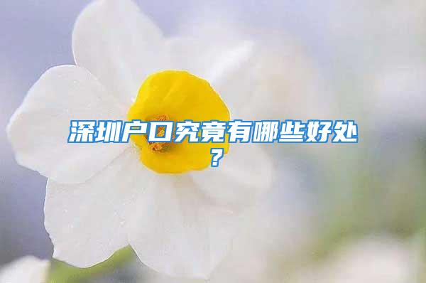 深圳戶口究竟有哪些好處？