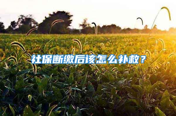 社保斷繳后該怎么補(bǔ)救？