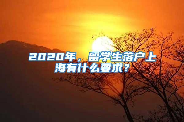 2020年，留學生落戶上海有什么要求？