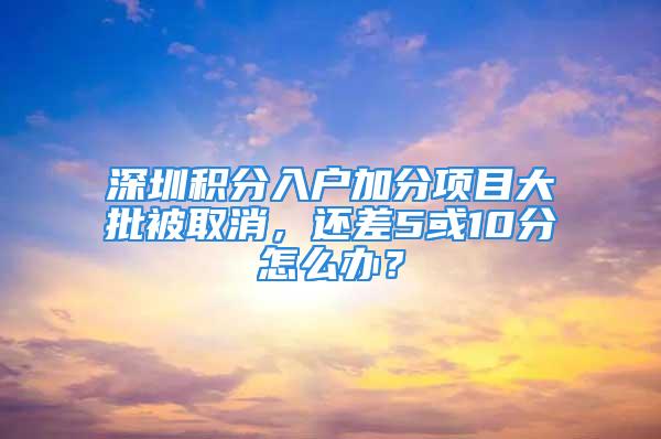 深圳積分入戶加分項目大批被取消，還差5或10分怎么辦？