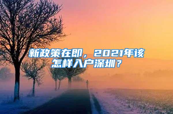 新政策在即，2021年該怎樣入戶深圳？