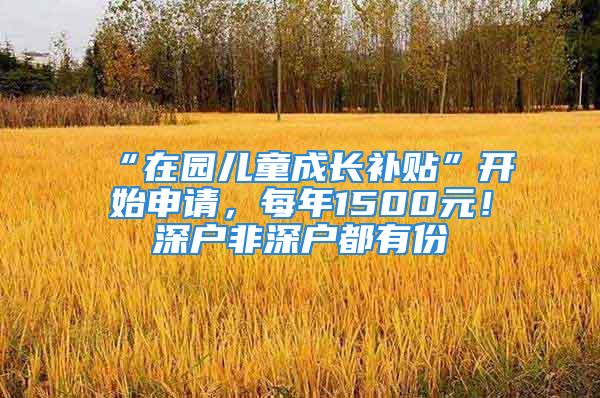 “在園兒童成長補貼”開始申請，每年1500元！深戶非深戶都有份