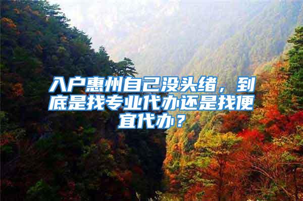 入戶惠州自己沒頭緒，到底是找專業(yè)代辦還是找便宜代辦？